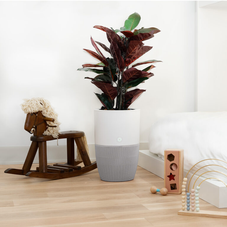 Dupray BLOOM luchtreiniger als plantenbak in een interieur