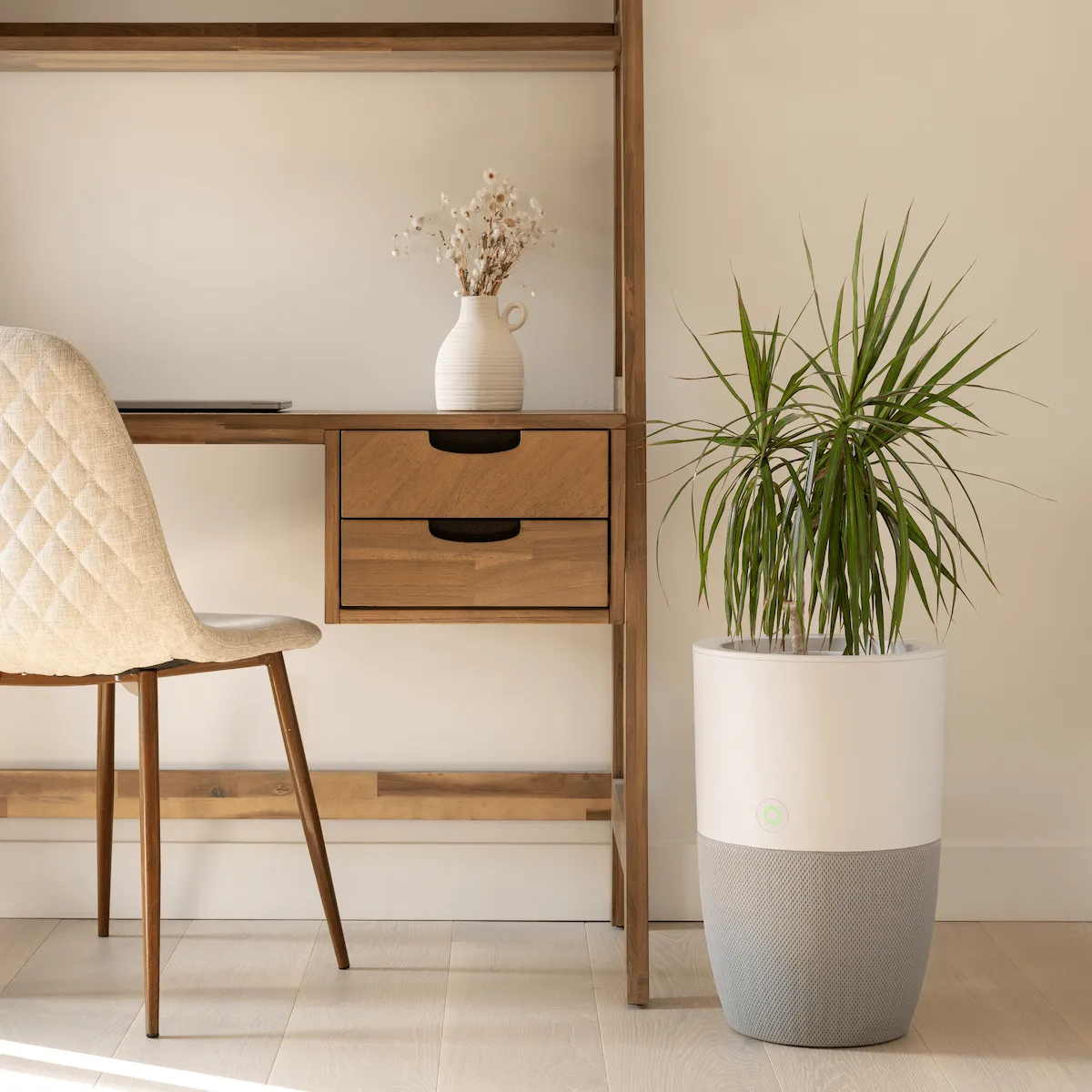 Dupray Bloom stijlvolle luchtreiniger