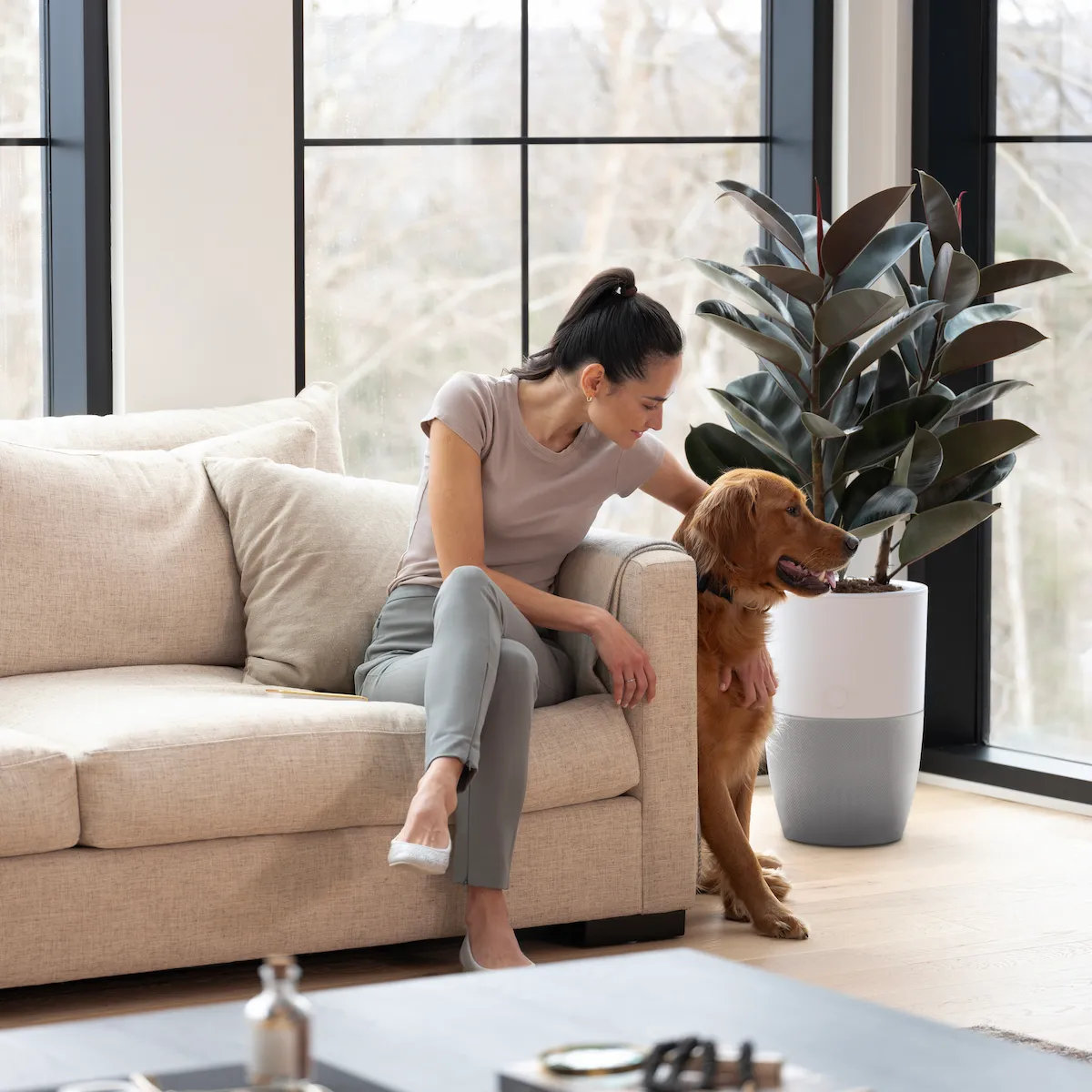 Dupray Bloom luchtreiniger anti allergie hond