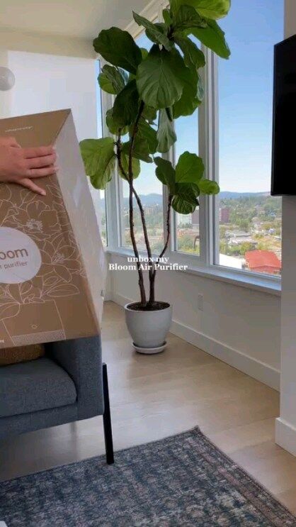 Dit krijg je wanneer je de prijswinnende luchtreiniger BLOOM besteld bij *AIRIAS.nl*
● medische graad HEPA 13 filters
● uniek design met geïntegreerde plantenbak of opbergtafel
● verwijderd 99,97% van luchtvervuiling (houtstook, rook, fijnstof, pollen, allergenen, stof, VOS, geurtjes, bacteriën, virussen, schimmels, etc.)
● anti-bacterieel, anti-schimmels, anti-microben wasbaar prefilter
● duurzaam en prijswinnend ontwerp

☆ 10% BLACKFRIDAY KORTING MET CODE BLACKFRIDAY10AIRIAS ☆

#schonelucht #vtwonen #vtwonenbijmijthuis #gezond #luchtkwaliteit #gezondwonen