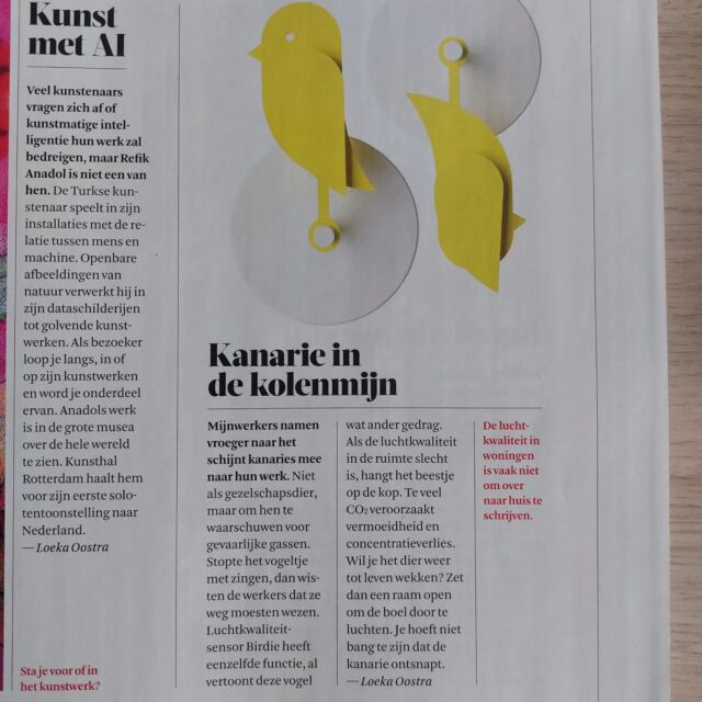 Vogels spotten in het FD dit weekend!
Airias.nl 

#schonelucht #lerenventileren #gezonderwonen #vtwonen
